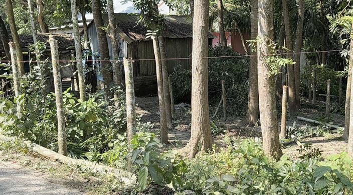 ধুলদিজয়পুরে ব্যক্তি মালিকানা জমি থেকে গাছ কাটায় প্রতিপক্ষের বিরুদ্ধে থানায় অভিযোগ